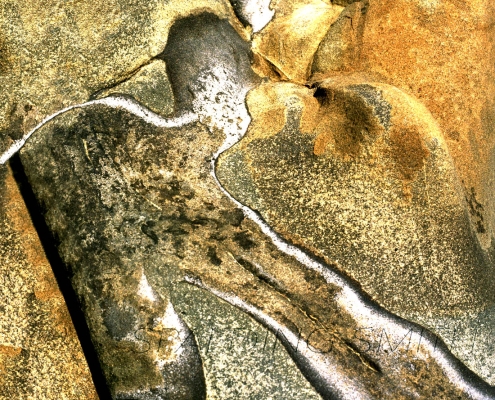 WM-burden -of-the-past